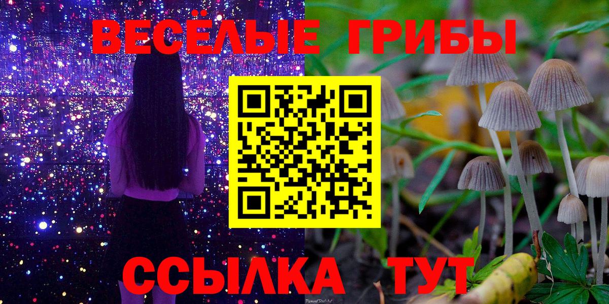 Псилоцибиновые грибы GOLDEN TEACHER  Вход с VPN  наркота  Шахты 