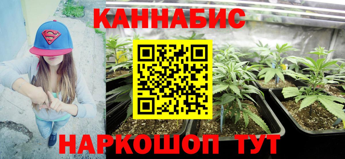 Бошки марихуана сатива  Вход с VPN  Конопля OG Kush  Шахты 